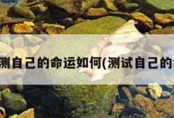 测一测自己的命运如何(测试自己的命运)