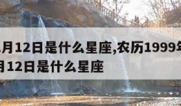 12月12日是什么星座,农历1999年12月12日是什么星座