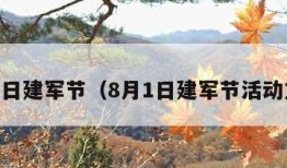 8月1日建军节（8月1日建军节活动方案）