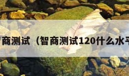 智商测试（智商测试120什么水平）