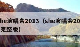 she演唱会2013（she演唱会2016完整版）