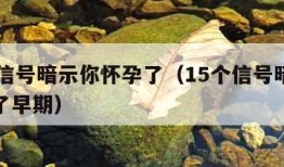 15个信号暗示你怀孕了（15个信号暗示你怀孕了早期）