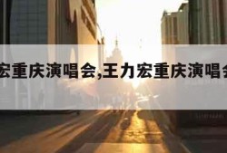 王力宏重庆演唱会,王力宏重庆演唱会2023