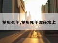 梦见死羊,梦见死羊漂在水上