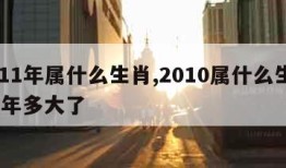 2011年属什么生肖,2010属什么生肖 今年多大了