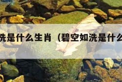 碧空如洗是什么生肖（碧空如洗是什么生肖打一肖）