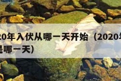 2020年入伏从哪一天开始（2020年入伏是哪一天）