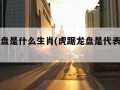 虎踞龙盘是什么生肖(虎踞龙盘是代表什么生肖)