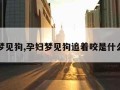 孕妇梦见狗,孕妇梦见狗追着咬是什么预兆