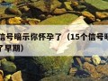 15个信号暗示你怀孕了（15个信号暗示你怀孕了早期）